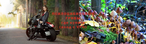 мескалин Абаза