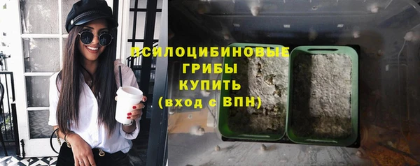 метадон Аркадак