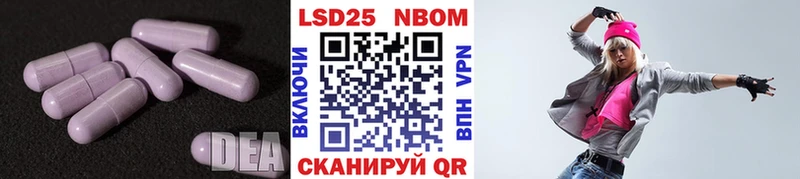 omg онион  продажа наркотиков  Тогучин  LSD-25 экстази кислота 