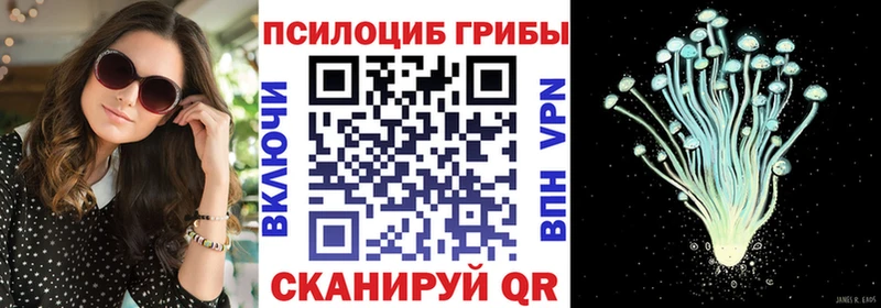 наркота  Тогучин  ссылка на мегу зеркало  Галлюциногенные грибы Psilocybe 
